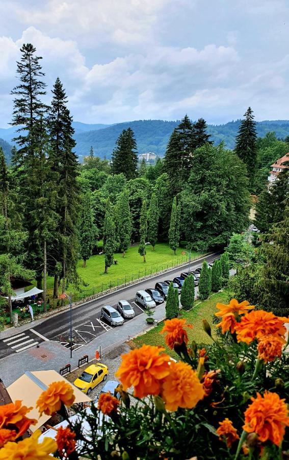 Laura Apartments Sinaia Exterior foto
