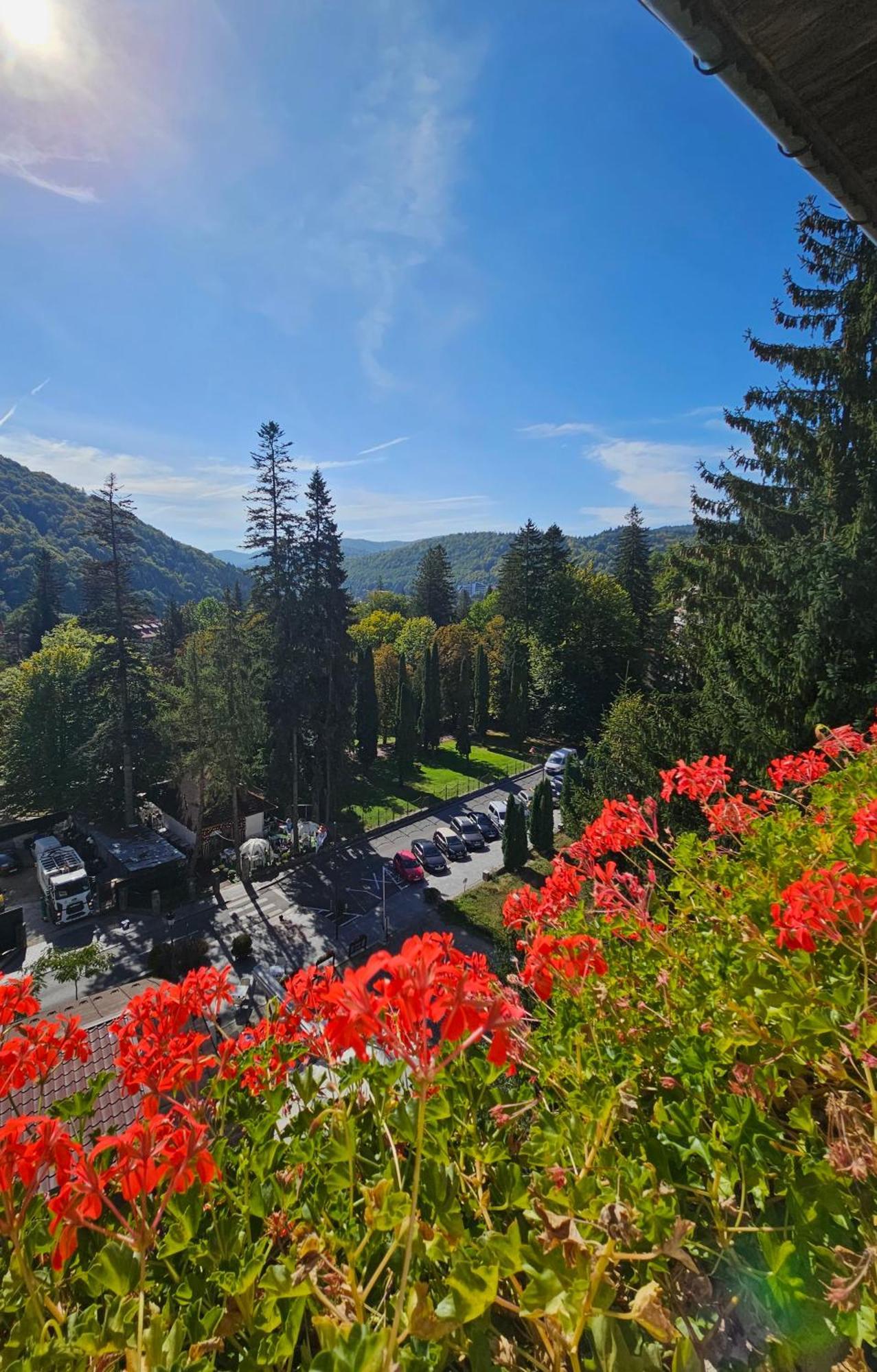 Laura Apartments Sinaia Exterior foto
