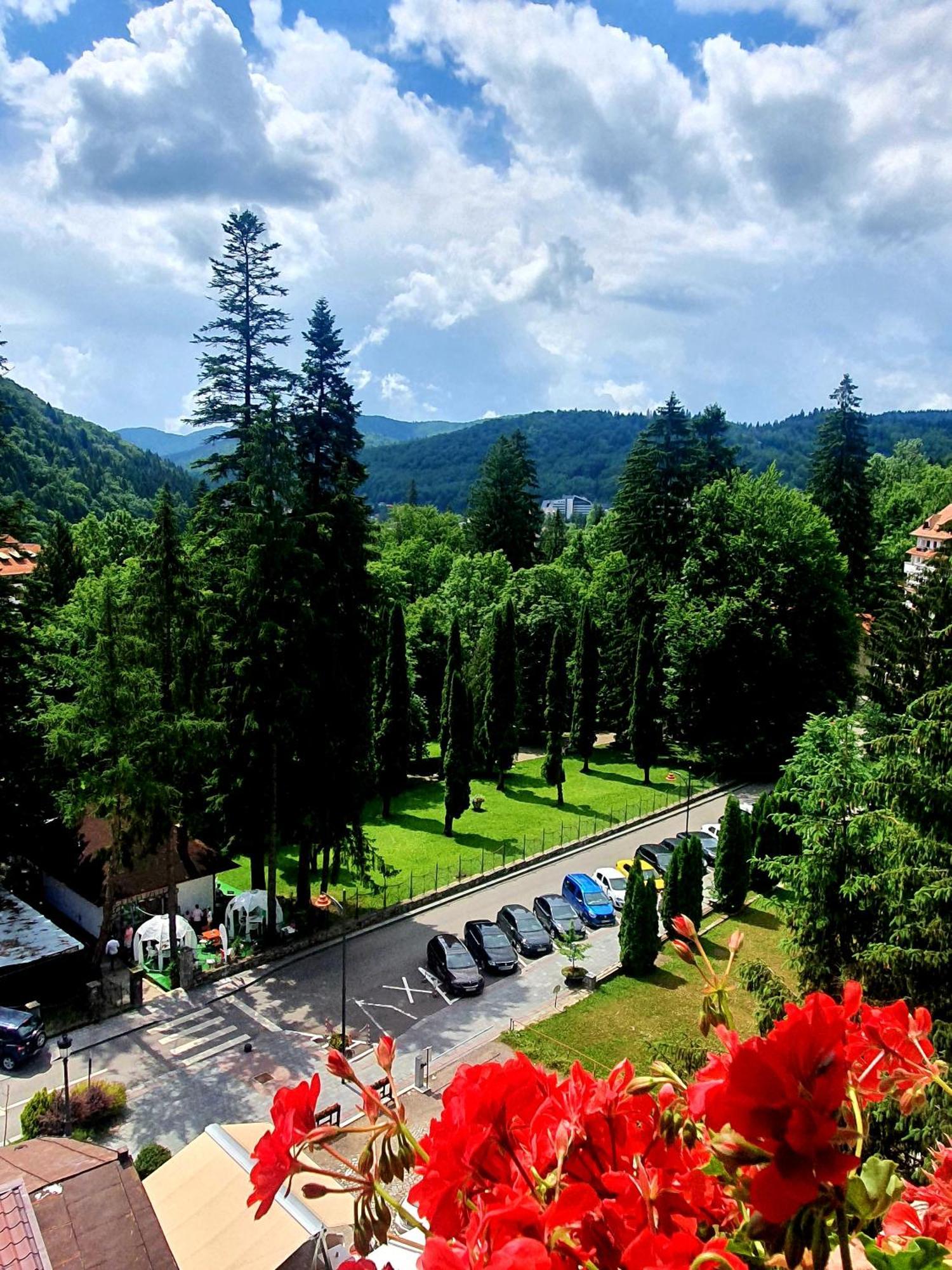 Laura Apartments Sinaia Exterior foto